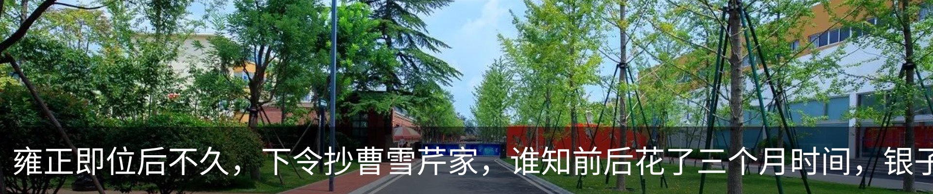 新闻动态
